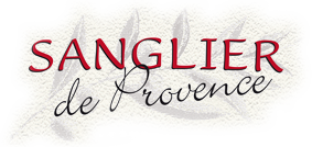 Sanglier de Provence